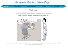 Tablet Screenshot of bbradu.web.cern.ch